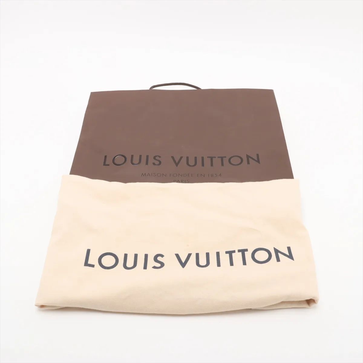 Louis Vuitton Monogram Mini Zipped Hobo