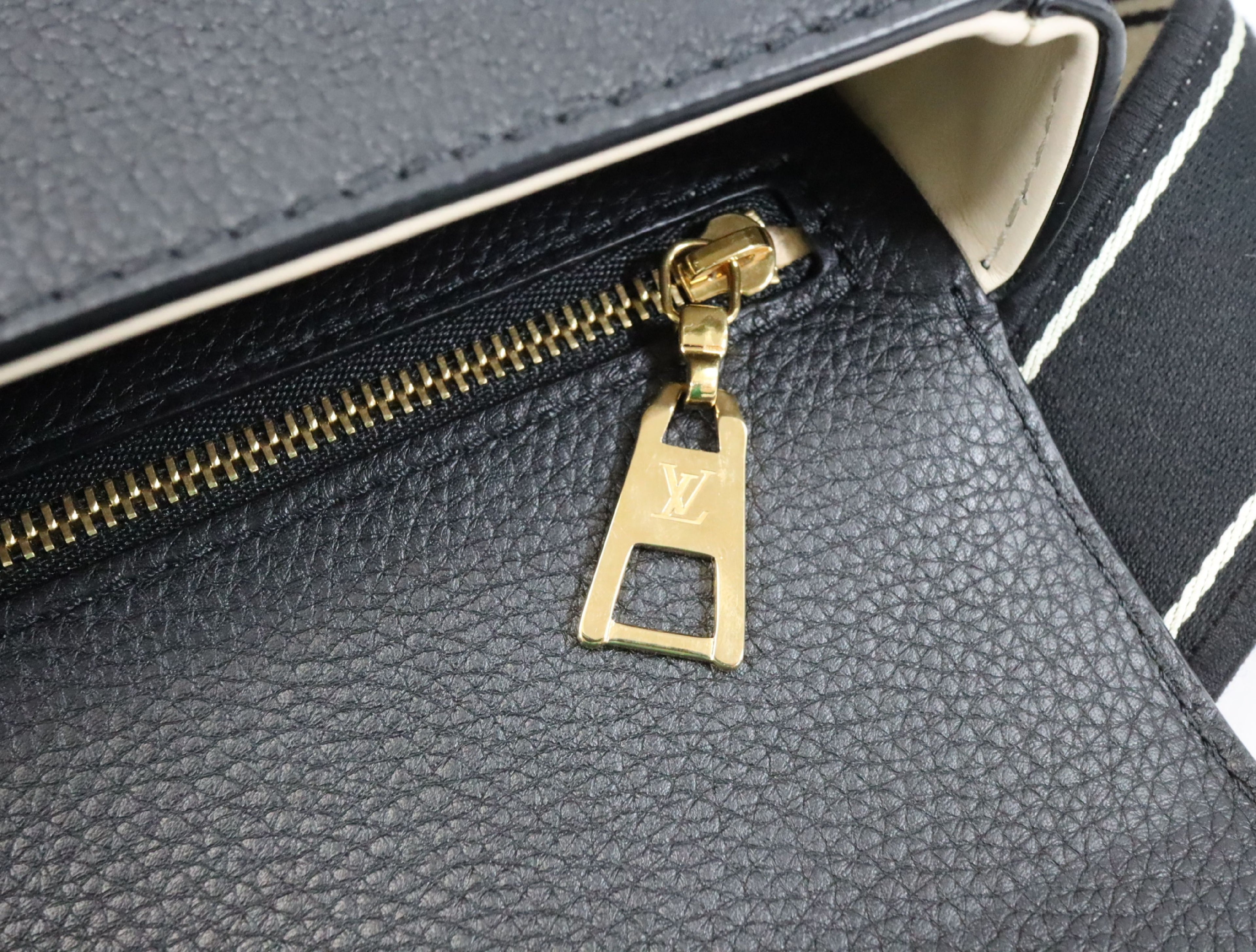 Louis Vuitton Logo Pont Neuf Soft Pm Shoulder Bag