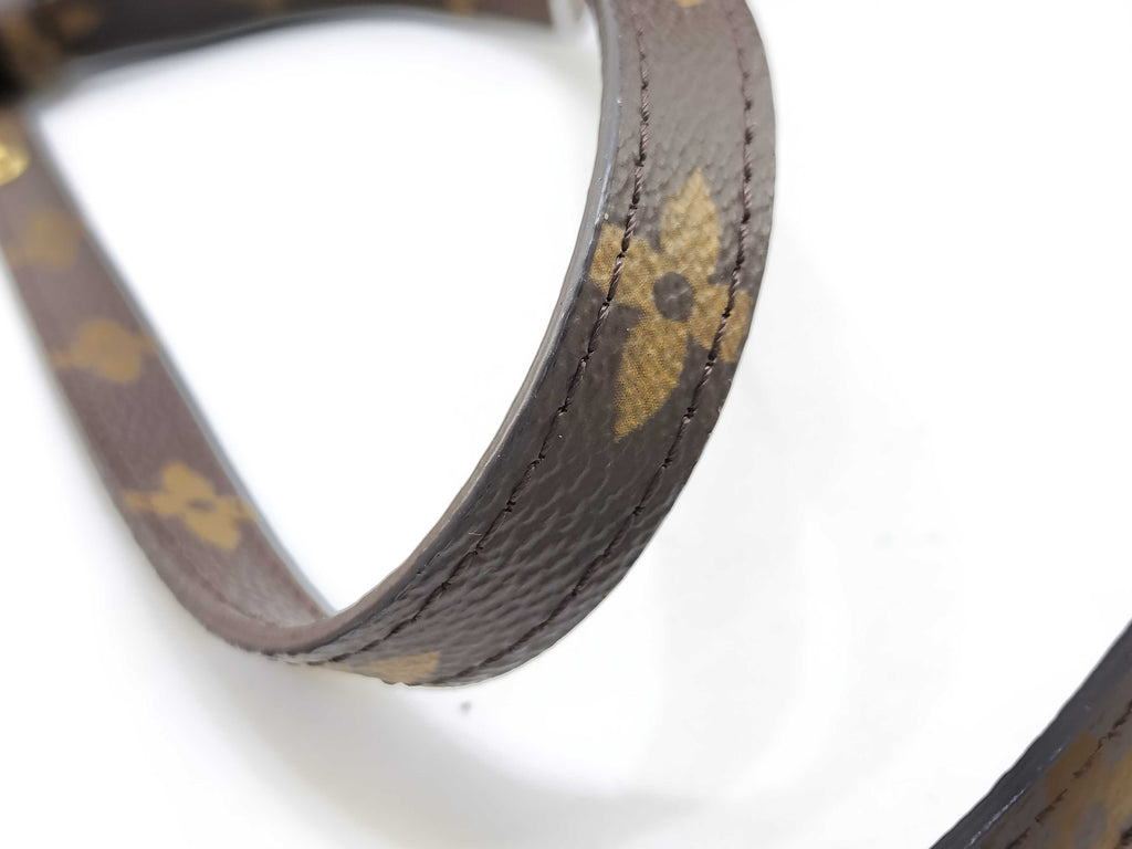 Louis Vuitton Monogram Pochette LV3