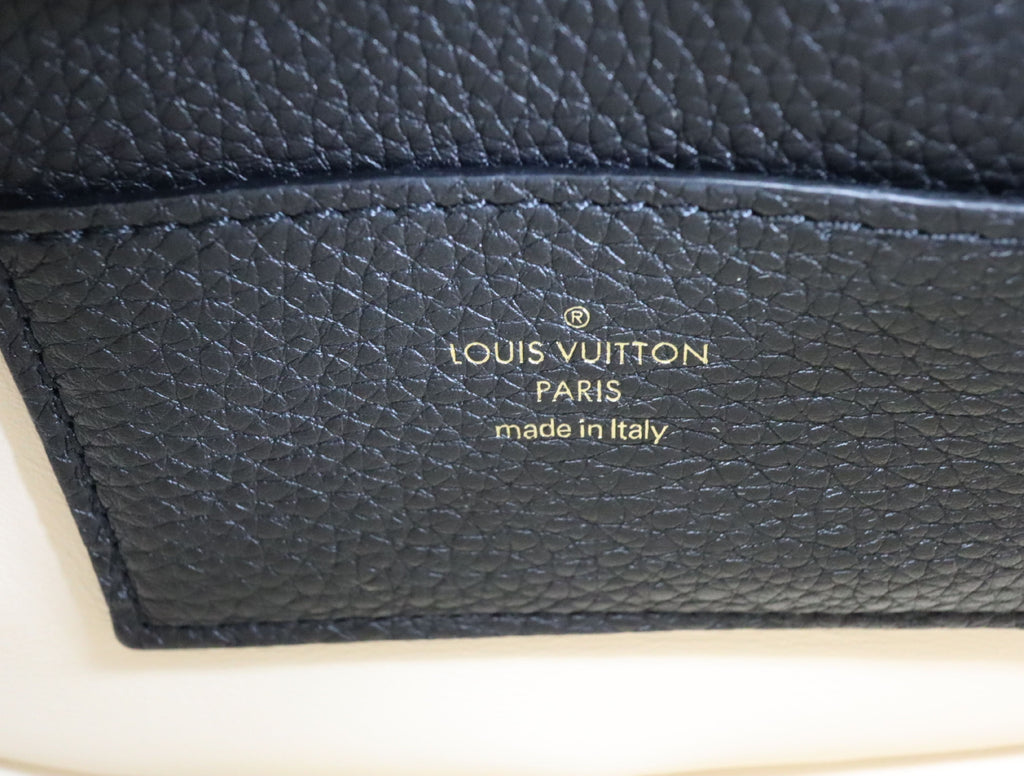 Louis Vuitton Logo Pont Neuf Soft Pm Shoulder Bag