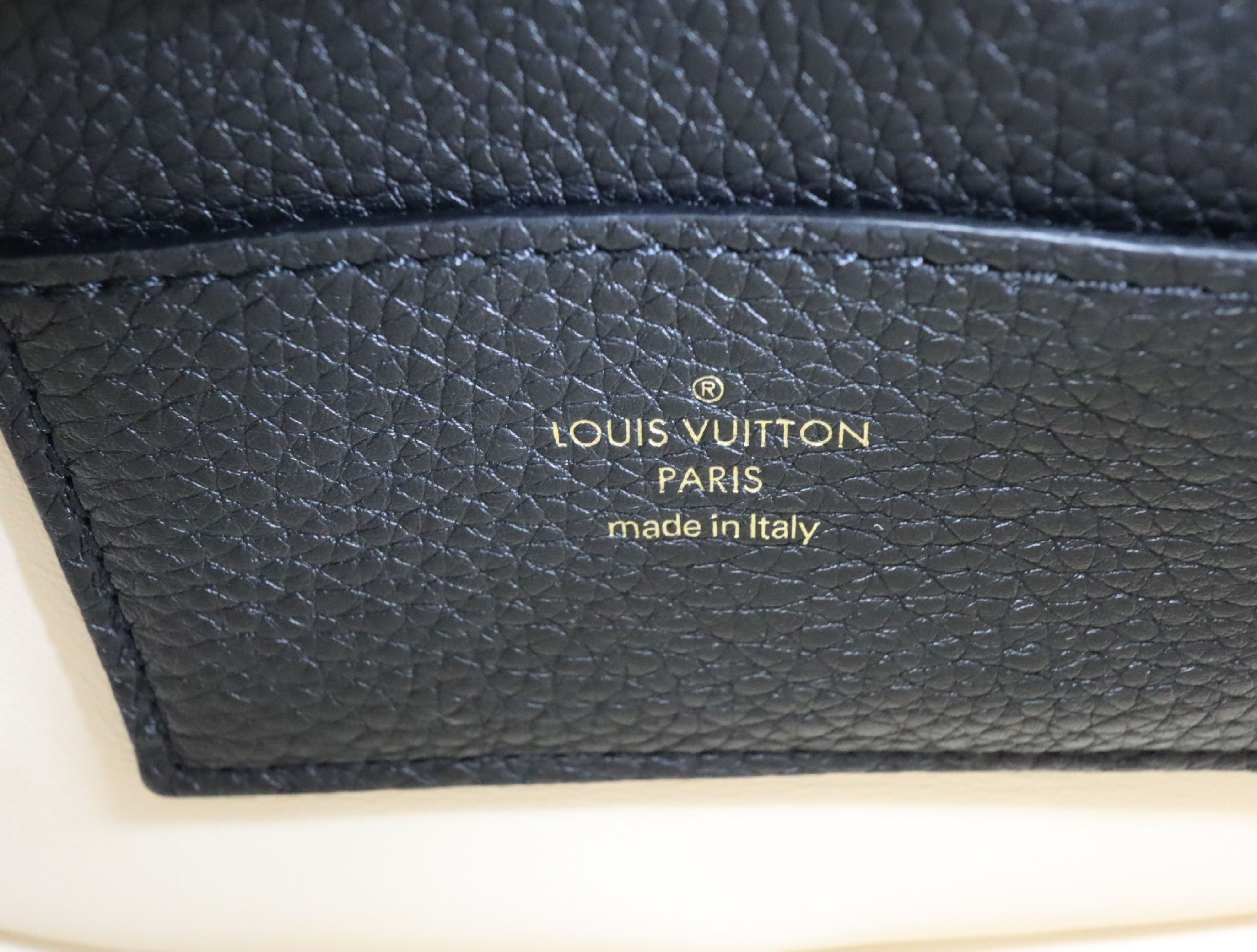 Louis Vuitton Logo Pont Neuf Soft Pm Shoulder Bag