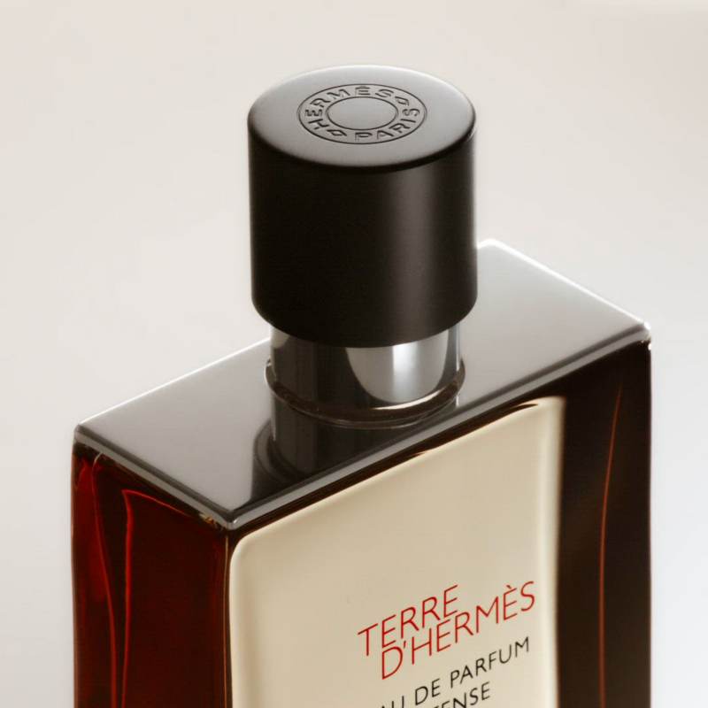 Hermes Terre D'Hermes Eau De Parfum INTENSE 3.3 Fl. Oz.