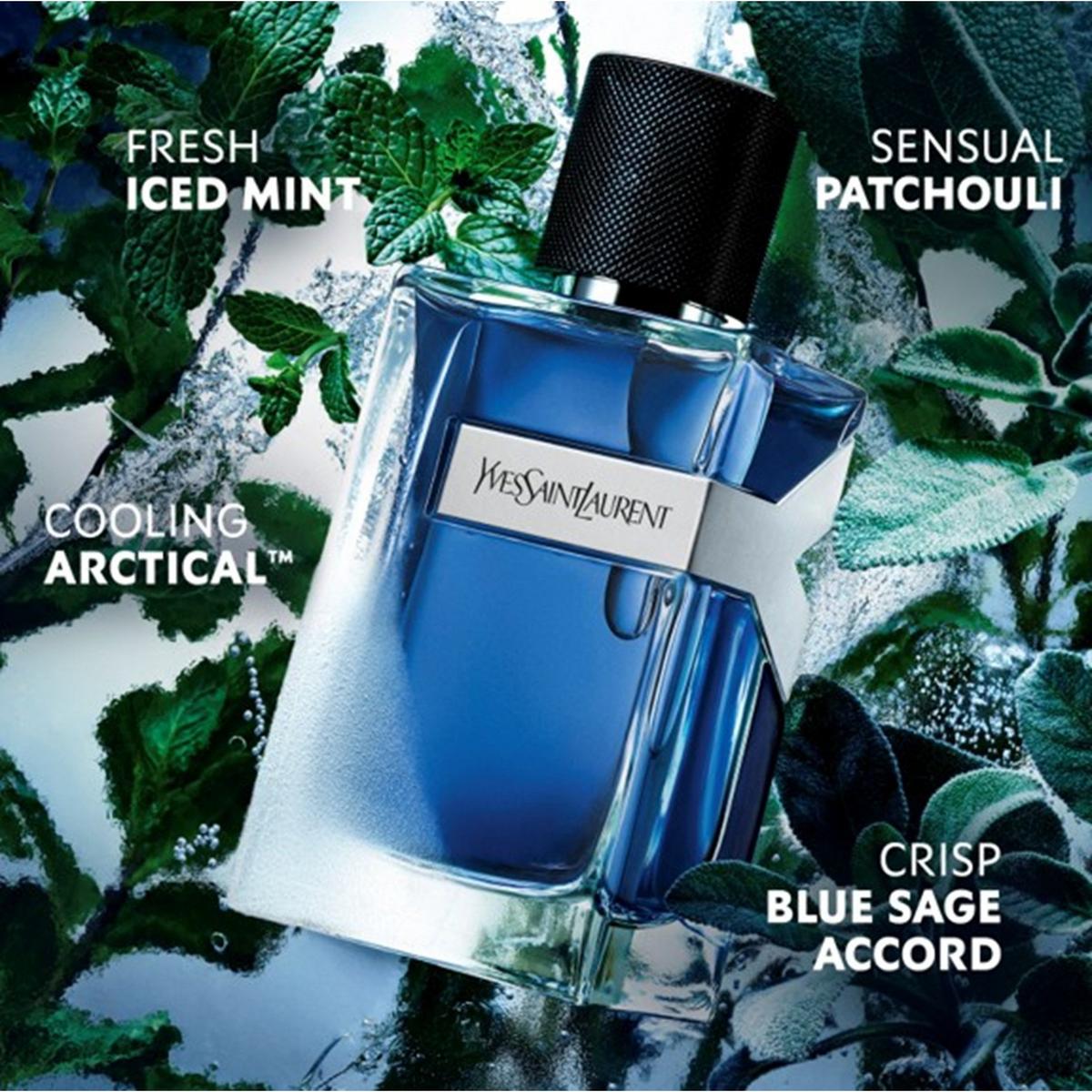 YSL Y Iced Cologne 2.0 Fl. Oz.