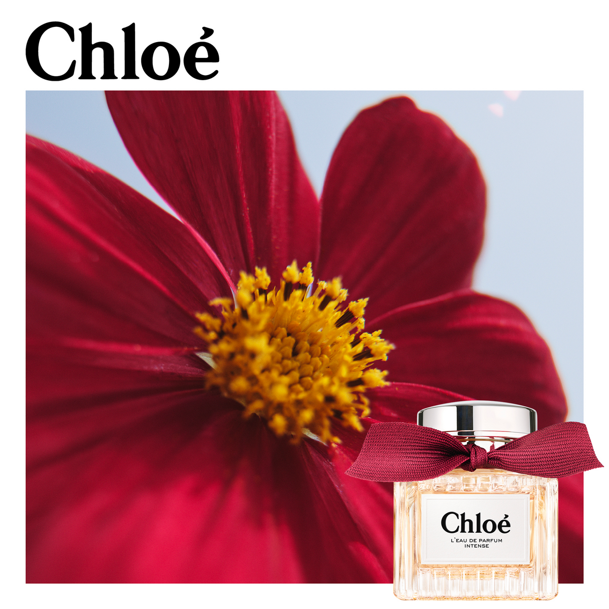 Chloe Eau De Parfum INTENSE 3.3 Fl. Oz.