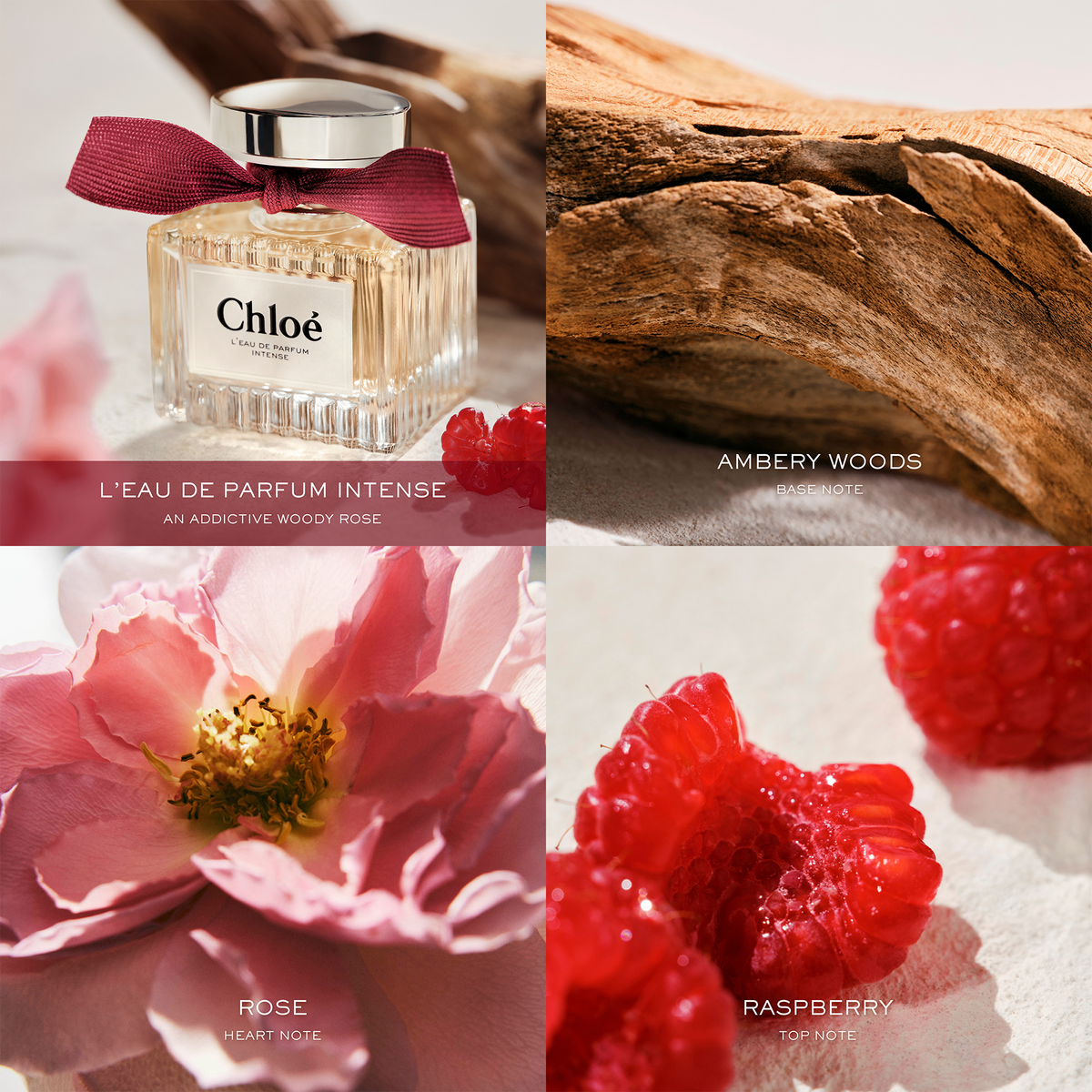 Chloe Eau De Parfum INTENSE 3.3 Fl. Oz.