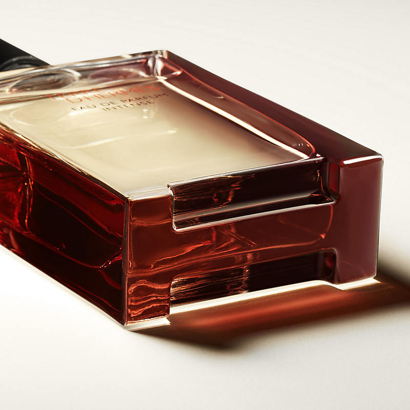 Hermes Terre D'Hermes Eau De Parfum INTENSE 3.3 Fl. Oz.