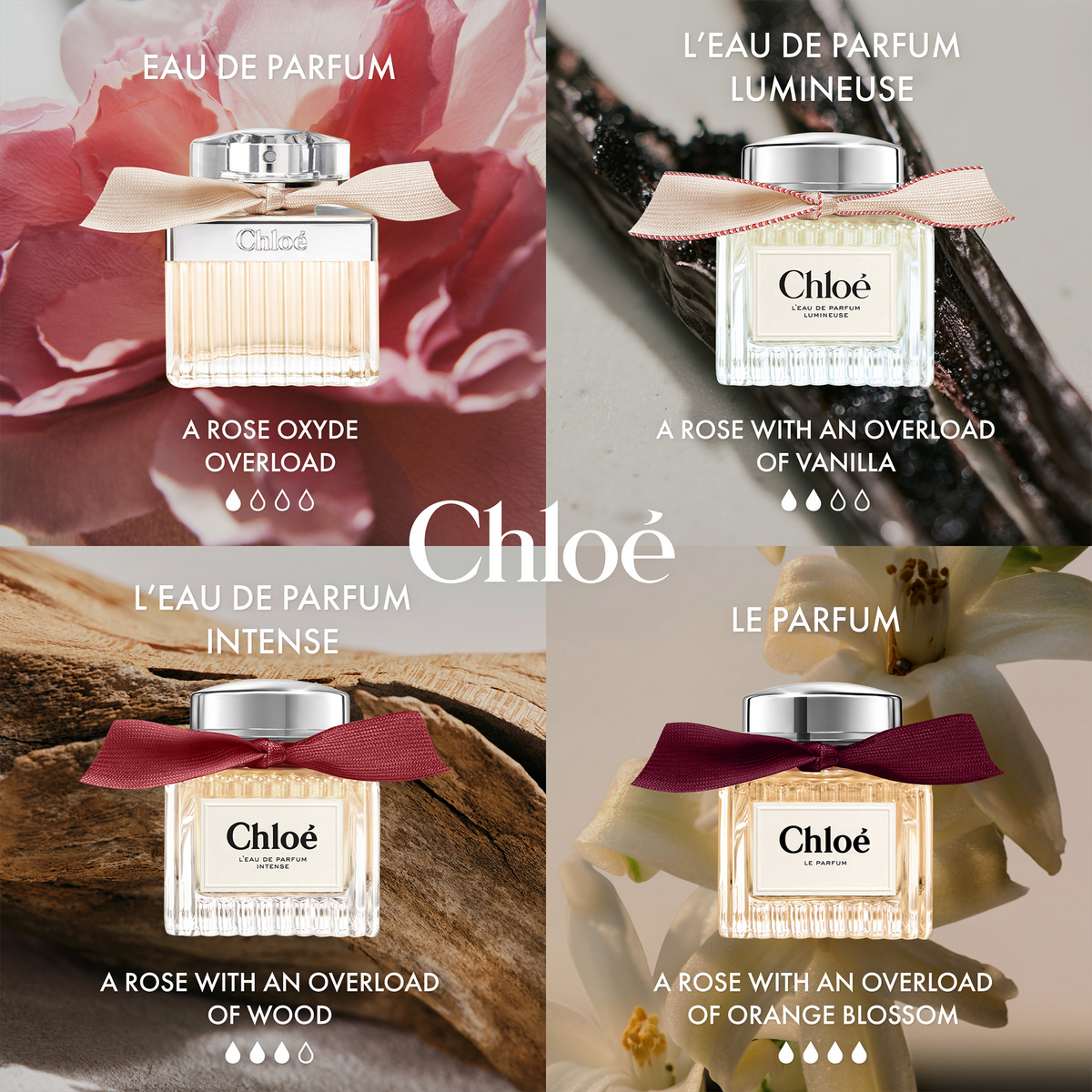 Chloe Eau De Parfum INTENSE 3.3 Fl. Oz.